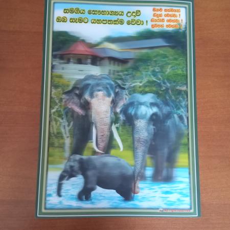 POSTER CHART - L Dalada Maligawa & Elephants