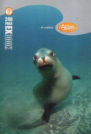 ATLAS SINGLE RULE 240 PGS